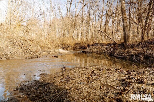 E500N300 E E Rd, Oconee, IL 62553 - photo 13