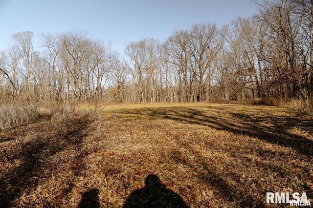 E500N300 E E Rd, Oconee, IL 62553 - photo 15