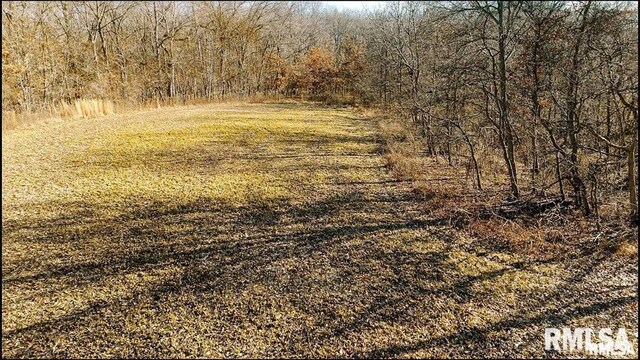 E500N300 E E Rd, Oconee, IL 62553 - photo 16