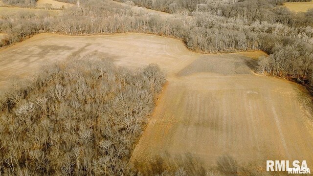 E500N300 E E Rd, Oconee, IL 62553 - photo 3