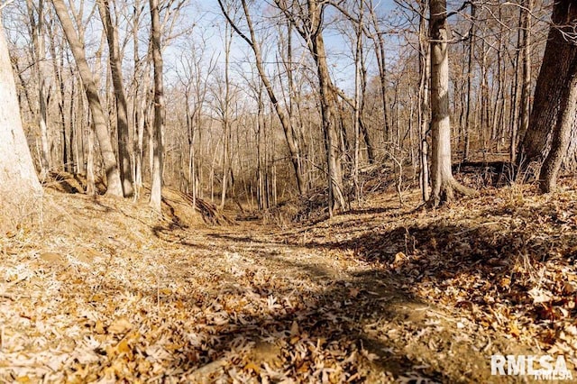 E500N300 E E Rd, Oconee, IL 62553 - photo 23
