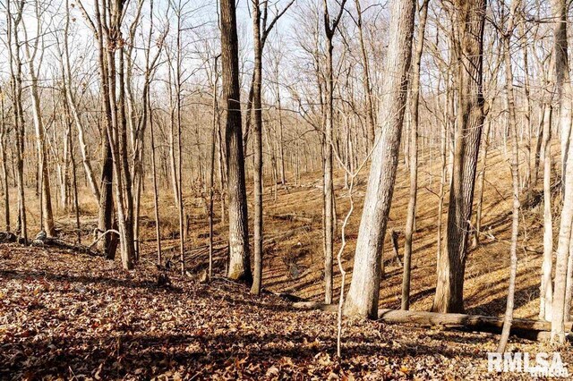 E500N300 E E Rd, Oconee, IL 62553 - photo 25