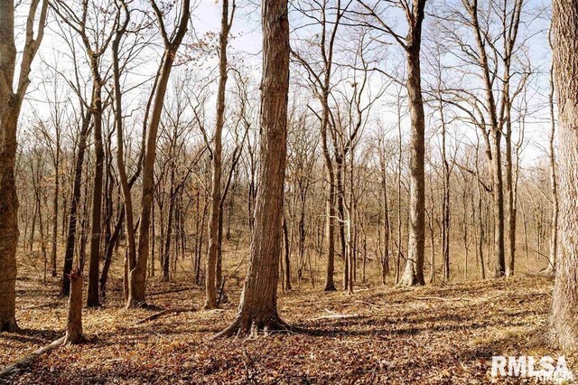 E500N300 E E Rd, Oconee, IL 62553 - photo 29