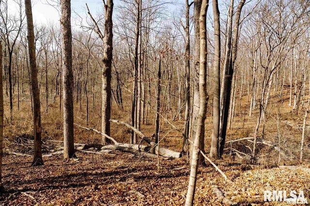 E500N300 E E Rd, Oconee, IL 62553 - photo 30