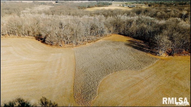 E500N300 E E Rd, Oconee, IL 62553 - photo 4