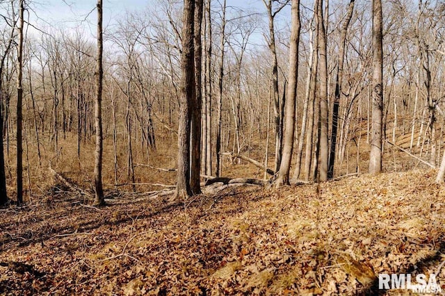E500N300 E E Rd, Oconee, IL 62553 - photo 31
