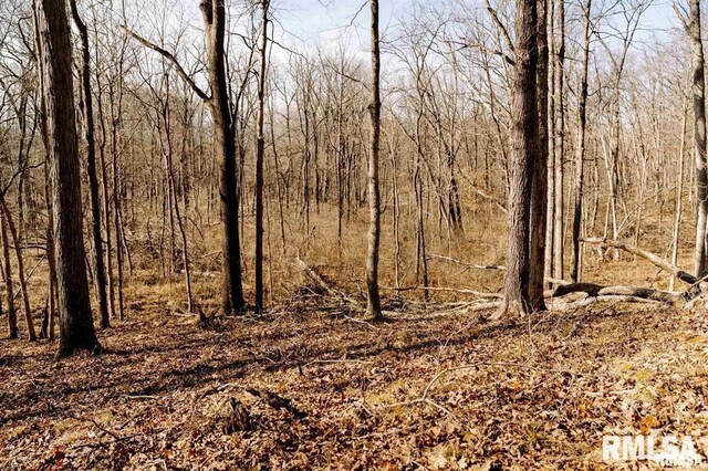 E500N300 E E Rd, Oconee, IL 62553 - photo 33