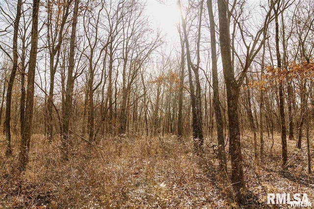E500N300 E E Rd, Oconee, IL 62553 - photo 34