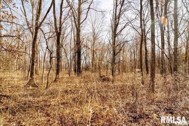 E500N300 E E Rd, Oconee, IL 62553 - photo 35