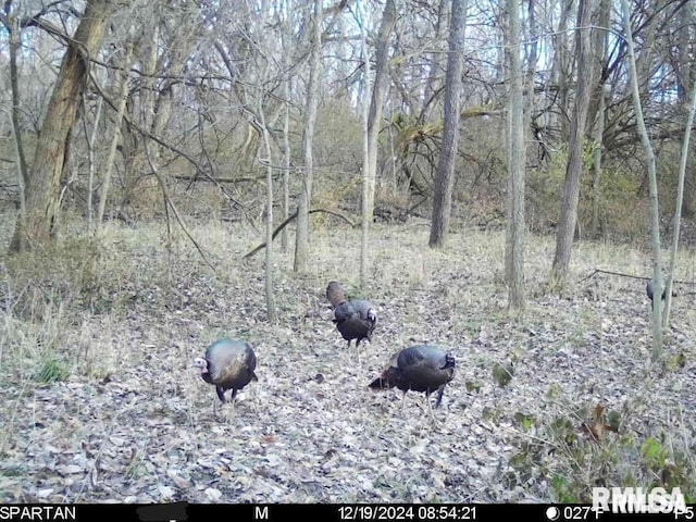 E500N300 E E Rd, Oconee, IL 62553 - photo 36