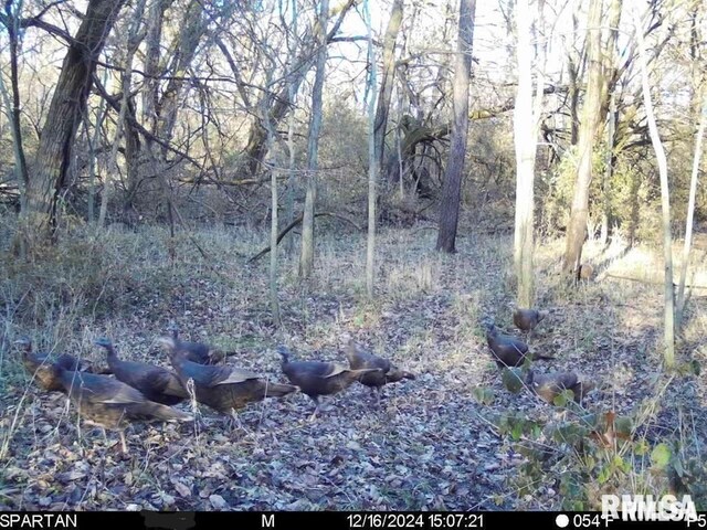 E500N300 E E Rd, Oconee, IL 62553 - photo 37
