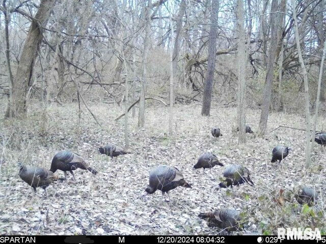 E500N300 E E Rd, Oconee, IL 62553 - photo 38