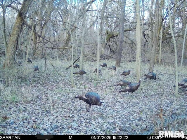 E500N300 E E Rd, Oconee, IL 62553 - photo 39