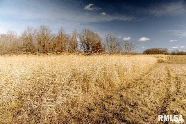 E500N300 E E Rd, Oconee, IL 62553 - photo 8