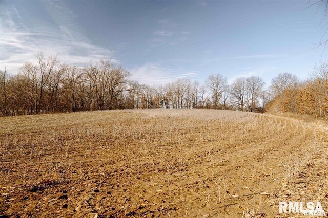 E500N300 E E Rd, Oconee, IL 62553 - photo 9
