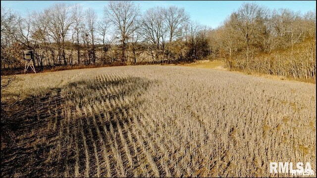 E500N300 E E Rd, Oconee, IL 62553 - photo 10