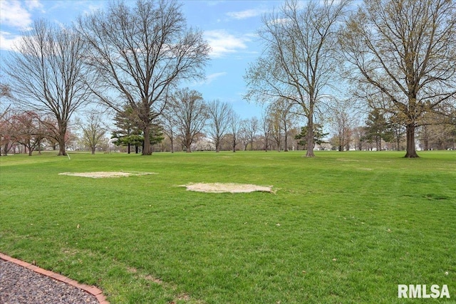 view of yard
