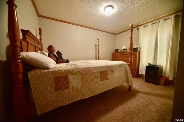 24 Davis Rd, Cave In Rock, IL 62919 - bedroom featuring crown molding, carpet flooring, and a textured ceiling