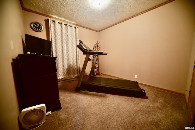 24 Davis Rd, Cave In Rock, IL 62919 - workout room with a textured ceiling, carpet flooring, baseboards, and ornamental molding