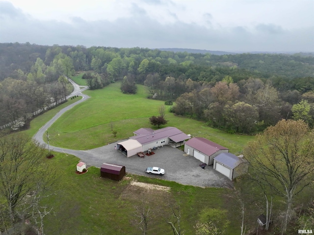 24 Davis Rd, Cave In Rock, IL 62919 - aerial view with a wooded view and a rural view