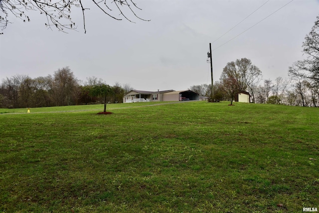 24 Davis Rd, Cave In Rock, IL 62919 - view of yard