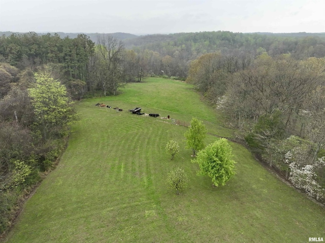 24 Davis Rd, Cave In Rock, IL 62919 - drone / aerial view with a forest view and a rural view