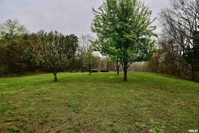 24 Davis Rd, Cave In Rock, IL 62919 - view of yard