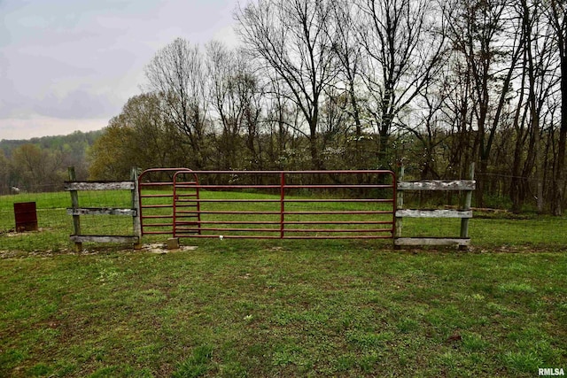 24 Davis Rd, Cave In Rock, IL 62919 - view of gate featuring a yard and a wooded view