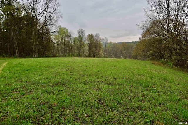 24 Davis Rd, Cave In Rock, IL 62919 - view of nature with a wooded view