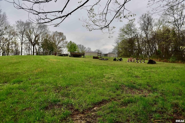 24 Davis Rd, Cave In Rock, IL 62919 - view of yard featuring a rural view