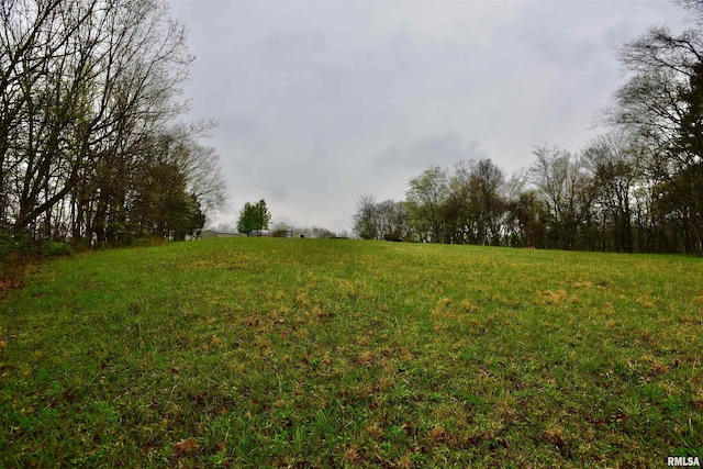 24 Davis Rd, Cave In Rock, IL 62919 - view of landscape