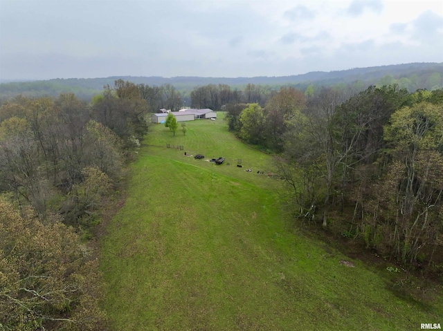 24 Davis Rd, Cave In Rock, IL 62919 - drone / aerial view with a view of trees and a rural view