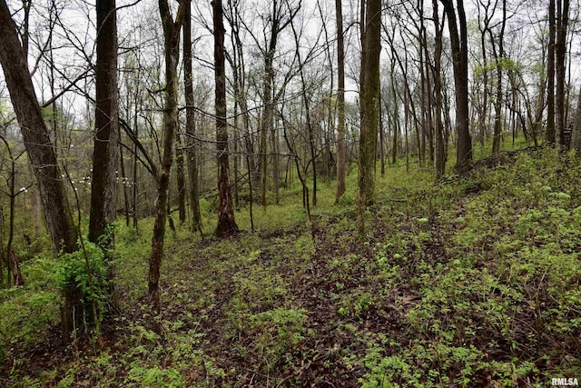 24 Davis Rd, Cave In Rock, IL 62919 - view of local wilderness with a view of trees