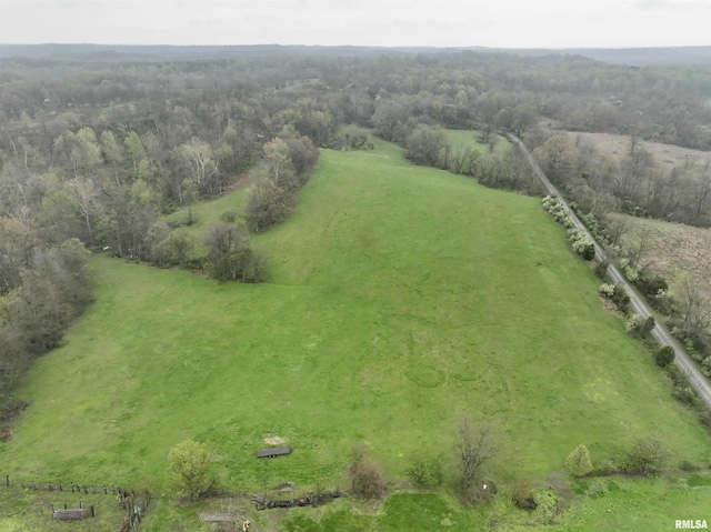 24 Davis Rd, Cave In Rock, IL 62919 - bird's eye view with a view of trees
