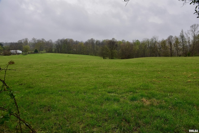 24 Davis Rd, Cave In Rock, IL 62919 - view of nature featuring a view of trees and a rural view