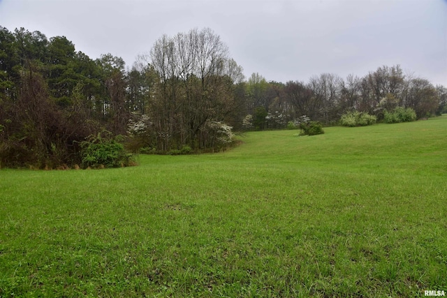 24 Davis Rd, Cave In Rock, IL 62919 - view of yard