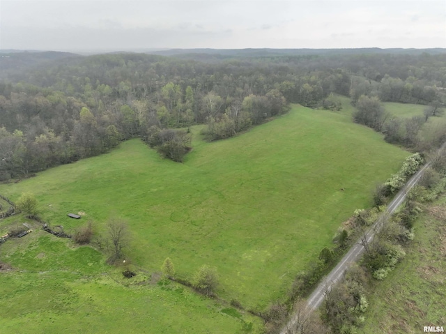 24 Davis Rd, Cave In Rock, IL 62919 - birds eye view of property with a view of trees and a rural view