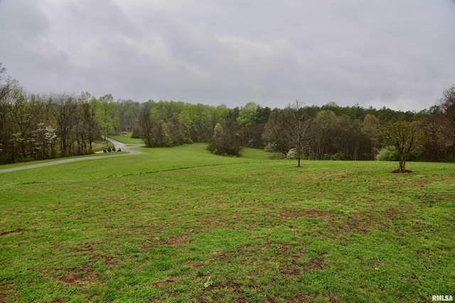 24 Davis Rd, Cave In Rock, IL 62919 - view of yard featuring a view of trees