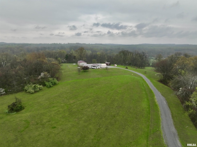 24 Davis Rd, Cave In Rock, IL 62919 - drone / aerial view featuring a view of trees