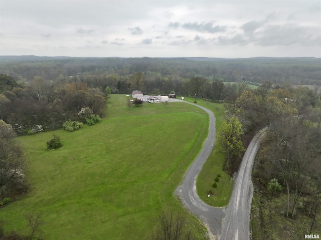 24 Davis Rd, Cave In Rock, IL 62919 - birds eye view of property with a view of trees and a rural view