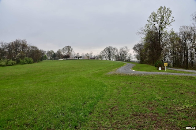 24 Davis Rd, Cave In Rock, IL 62919 - view of home's community with a yard