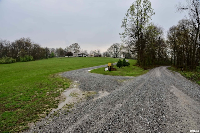 24 Davis Rd, Cave In Rock, IL 62919 - view of road