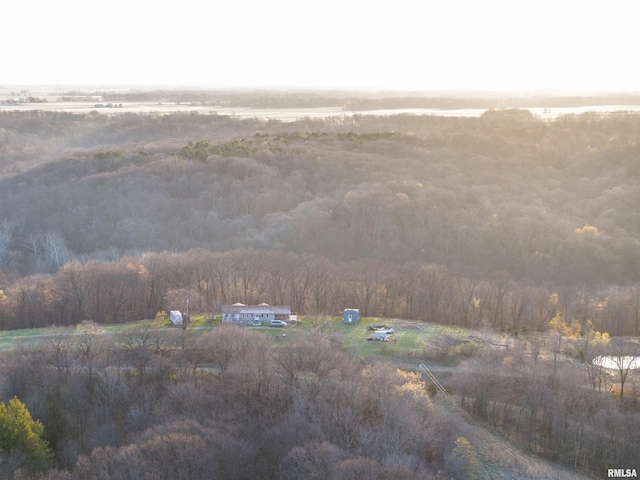 17217 N Dairy Farm Rd, Smithfield, IL 61477 - photo 1