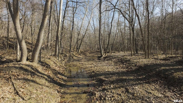 17217 N Dairy Farm Rd, Smithfield, IL 61477 - photo 2