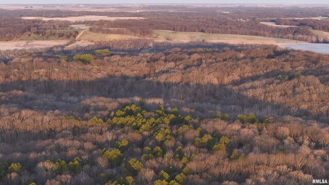 17217 N Dairy Farm Rd, Smithfield, IL 61477 - photo 13