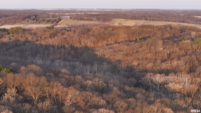 17217 N Dairy Farm Rd, Smithfield, IL 61477 - photo 14