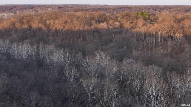 17217 N Dairy Farm Rd, Smithfield, IL 61477 - photo 15