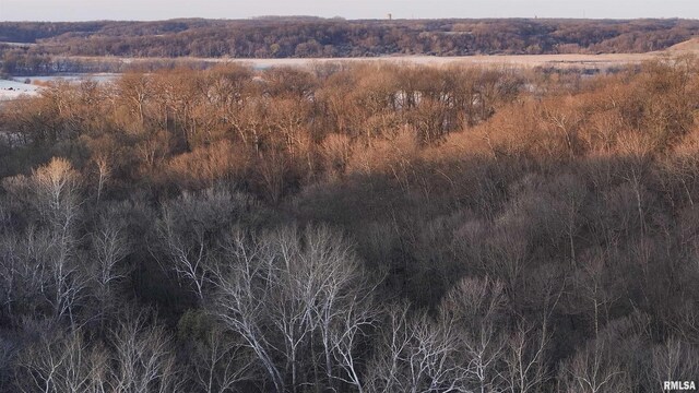 17217 N Dairy Farm Rd, Smithfield, IL 61477 - photo 16