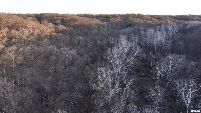 17217 N Dairy Farm Rd, Smithfield, IL 61477 - photo 17