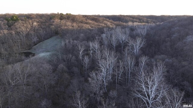 17217 N Dairy Farm Rd, Smithfield, IL 61477 - photo 18